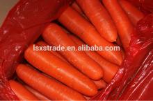 2014 new crop carrot for sale(H)