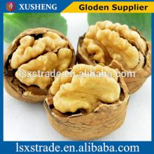 shelled walnut for sale (B)