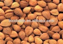Raw Almonds without shell