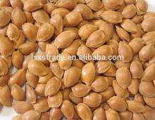 hot sale Apricot Kernels, Almonds