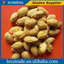 raw almonds in shell