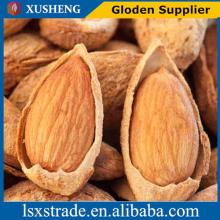 2014 new crop almond in shelled