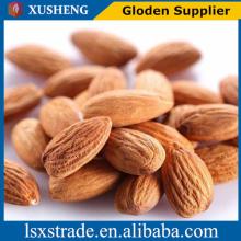 2014 California almond sale