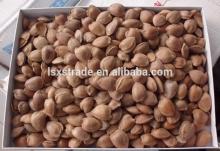 Salted Almonds, California Almonds