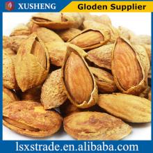 raw almonds sale with good price