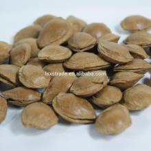 Wholesale Organic Raw Almond