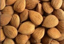 Almond Nuts/ Almond Kernel for Sale