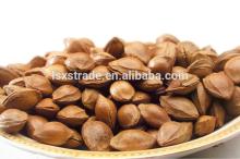 2014 Crop Almond