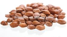Almonds With Shell