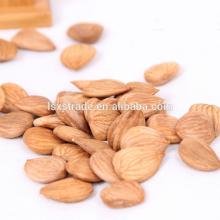 Hot Sale for Organic Almond Nuts
