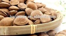 Shelled Almond with Competitive Price