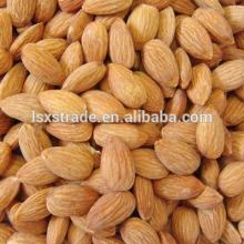 Almonds ( Sweet and Bitter Almonds )