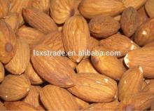 Raw Almonds