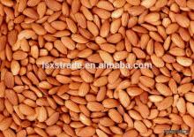 Wholesale American Almonds/Almond