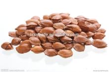  Best  Organic Apricot Kernels and Almonds