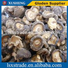 shiitake mushroom with best price (B)