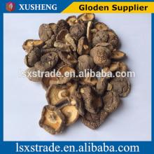 shiitake mushroom with low price (B)