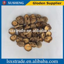 shiitake mushroom with cheap price(B)