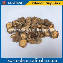 best price canned shiitake mushroom (B)