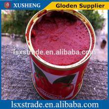wholesale the lowest price of tomato paste in drum(B)
