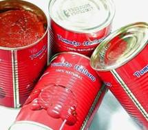  canned   tomato   paste   28 - 30 % brix oem brands