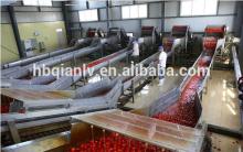 Tomato paste drum packing