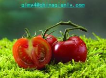 small tomato paste