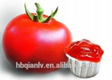 425g tomato sauce and tomato paste and tomato puree