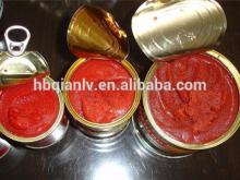  Tomato   paste   canned 