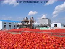 2014 hot sell tomato sauce factory