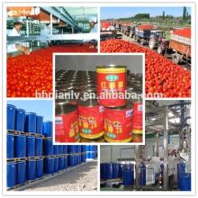 Good Price Canned Tomato Sauce Factory