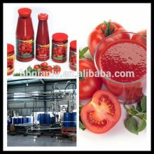 best seller canned tomato paste canned tomato sauce 70g brix 28-30%