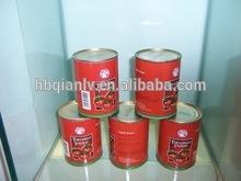 Canned  Tomato   Paste   3000g /tin Normal Open