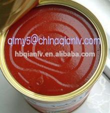 Fresh Canned tuna in Tomato sauce