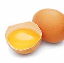 Egg   powder 