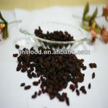 Sultana Raisin red color dark red with  Haccp  certification on sale