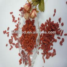 Best Sale top quality new crop goji berry from ningxia,China