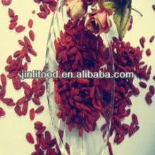 dried fruit chinese crop  ningxia  origin medlar  goji  berry