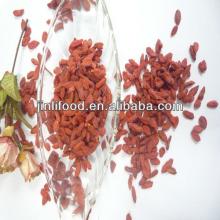 best price new crop high quality red goji berry selling best