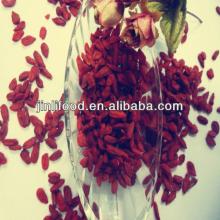 China origin goji berry 380pcs/50g