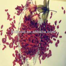 2013 new crop dried Goji berry top quality price