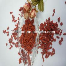  2013   new   crop  dried wolf  Goji  for sale