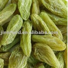  Chinese   green  raisin