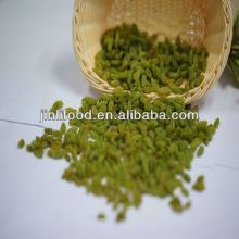 Jumbo green raisin from china