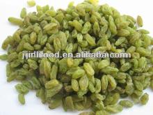 sun-dried natural type green raisins