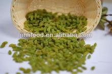xinjiang origin green raisin natral grape