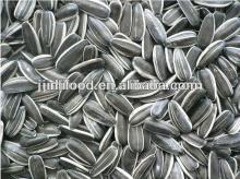 crop 2013 top quality golden  sultana   raisin  new crop