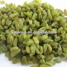 AA seedless green raisin grape high quality / best quality top quality