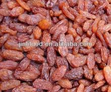 green raisin top sale natural seedless raisin 2013 new crop