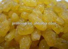 crop 2013 Golden raisins top sale natural dried grape gold raisin